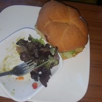 Burger at Leafy Greens Cafe in St Petersburg
