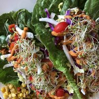 So good! at Leafy Greens Cafe in St Petersburg