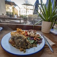 Sample Plate at Roots & Shoots Cafe in Bath