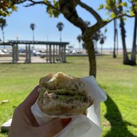 Tuna Melt Panini at AVO Cafe in Santa Monica