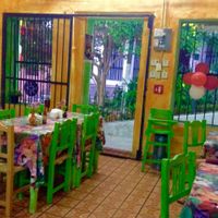 Bright colors inside, nature outside at Planeta Vegetariano in Puerto Vallarta