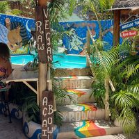 Backyard Pool at Peace & Bowl in Playa Del Carmen