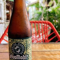 riquísima kombucha  at Peace & Bowl in Playa Del Carmen