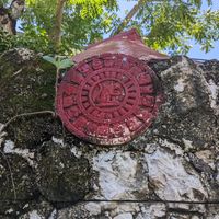  at Peace & Bowl in Playa Del Carmen