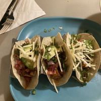 Blackened tofu Tacos vegan option at Moondog in Key West