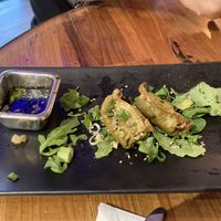 Dumplings at Moondog in Key West