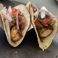   at Moondog in Key West