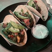 Blackened tofu tacos (vegan sour cream on side, I passed on the vegan cheese)  at Moondog in Key West