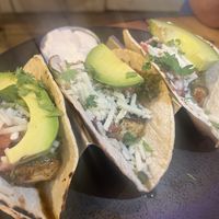   at Moondog in Key West