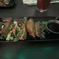 Veggie Gyoza appetizer  at Moondog in Key West