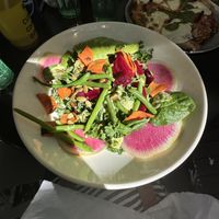 Avocado and veggie salad.  No tofu😒 at Moondog in Key West