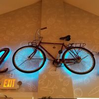 Moondog  at Moondog in Key West