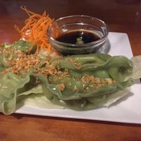 Veg Gyoza (vegan) at Thai Cuisine in Key West