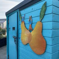   at The Happy Pear in Greystones