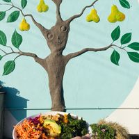 Buddha bowl at The Happy Pear in Greystones