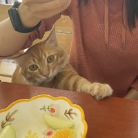   at Every Fresh Bar in Penang