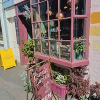  at The Purple Carrot in Malton