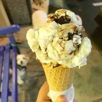 Coconut Almond Fudge! Yum! at Abel's Ice Cream in Sarasota