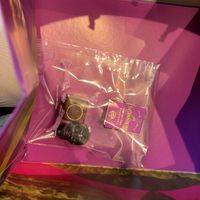   at The Chocolate Line in Bruges