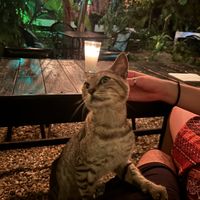   at Holy Moly in Puerto Escondido