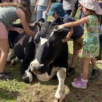   at Forrest and Friends in Kaggevinne