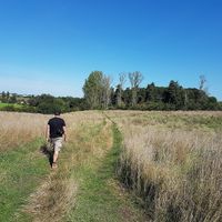 very large area at Forrest and Friends in Kaggevinne