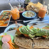 Mezze, rolled eggplants and vegan tartine at Wild Jordan Center in Amman