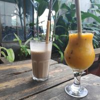 Shakes at Veggie Box in Phong Nha