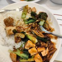 Tofu rice at Green Bliss Habitat 綠福苑 - Fortune Centre in Central Singapore