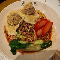 元宝 Dumplings Noodles (dry) at Green Bliss Habitat 綠福苑 - Fortune Centre in Central Singapore
