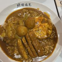 Curry rice   at Green Bliss Habitat 綠福苑 - Fortune Centre in Central Singapore