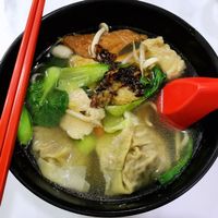 Dumpling noodle $5.50 at Green Bliss Habitat 綠福苑 - Fortune Centre in Central Singapore