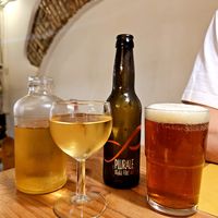 The jug of wine was only around 6 euro!  at Aromaticus in Rome