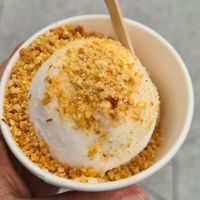 Coconut ice cream with peanuts at Co+Nut+Ink - Esplanade in Central Singapore