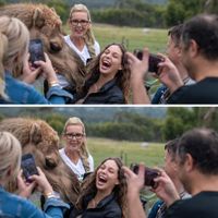 We had so much at Galahad’s sanctuary  at Vegan For A Day Tours in Melbourne