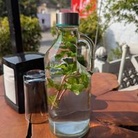 Fresh mint water at Kokum Bistro in Jaipur