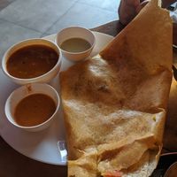 Masala dosa (vegan) at Kokum Bistro in Jaipur