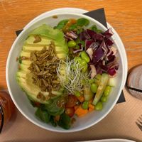 Bowl de abacate: gostoso e nutritivo, mas sempre sinto falta de algo mais temperado (como um molho, sal, especiarias, mas é totalmente como meu paladar prefere)  at Cafe Madrigal in Valencia