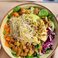 Avocado bowl at Cafe Madrigal in Valencia