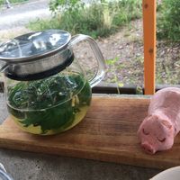 Ankara tea  at Jorden ar bla som en apelsin in Uppsala