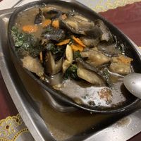 Braised eggplant at Bodhi Garden in Orange