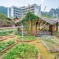 The beautiful garden, and the yoga shala right next to the restaurant at Cooper's Specialty Kitchen in Ao Nang