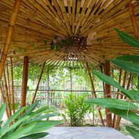 Gardens at Cooper's Specialty Kitchen in Ao Nang