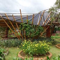 Gardens at Cooper's Specialty Kitchen in Ao Nang