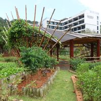 Gardens at Cooper's Specialty Kitchen in Ao Nang