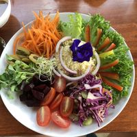 Salad of the day at Cooper's Specialty Kitchen in Ao Nang