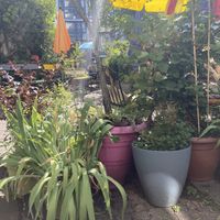   at Gartensalon in Munich