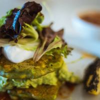 Fritter at The Milkman's Daughter in Mermaid Beach