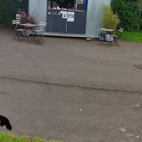 Yep at Milk - Coffee Shack at Inverleith Park in Edinburgh