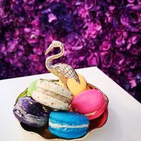Macarons at Naked Bakery in Edinburgh